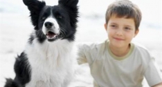 7 dobrih razloga za nabaviti psa djetetu
